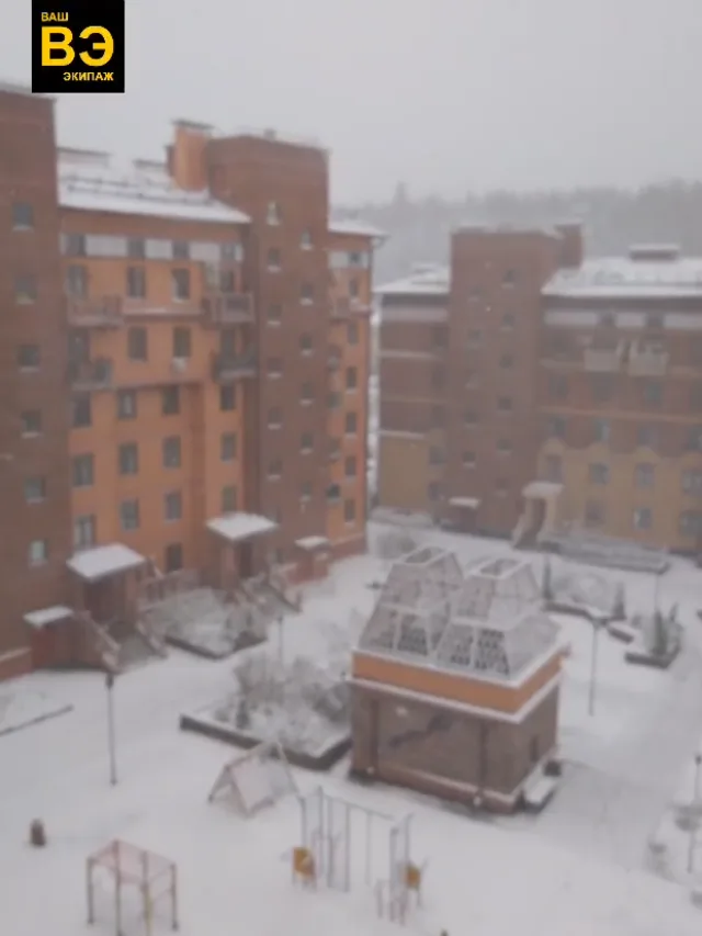 Арктическая тоска в Москве